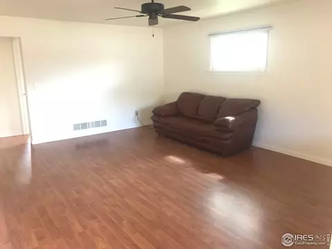 113 Park St, Lyons, CO 80540 photo 10