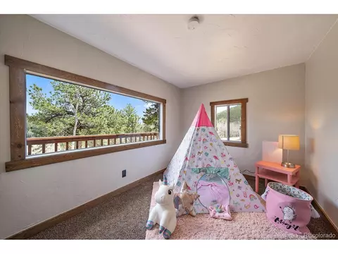 163 Smoky Rock Rd, Bailey, CO 80421 photo 6