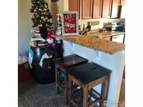 4765 E 98th Pl, Thornton, CO 80229 photo 12