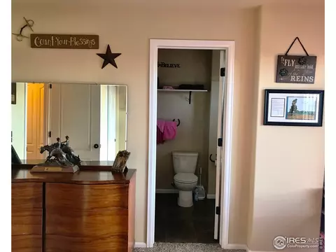4765 E 98th Pl, Thornton, CO 80229 photo 20