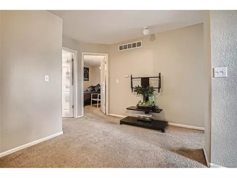 4704 Perth St, Denver, CO 80249 photo 23