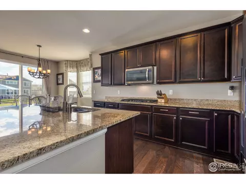6737 Spring Rain Rd, Timnath, CO 80547 photo 6
