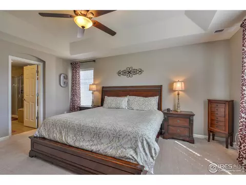 6737 Spring Rain Rd, Timnath, CO 80547 photo 23