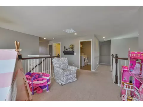 6737 Spring Rain Rd, Timnath, CO 80547 photo 19