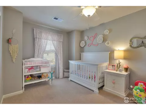 6737 Spring Rain Rd, Timnath, CO 80547 photo 30