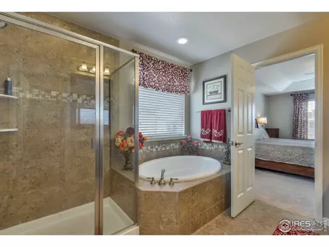 6737 Spring Rain Rd, Timnath, CO 80547 photo 25
