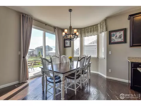 6737 Spring Rain Rd, Timnath, CO 80547 photo 10