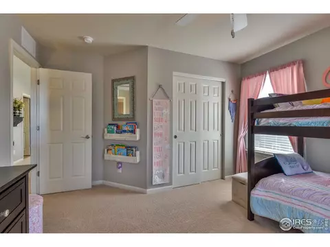 6737 Spring Rain Rd, Timnath, CO 80547 photo 28