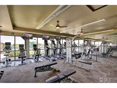 6737 Spring Rain Rd, Timnath, CO 80547 photo 40