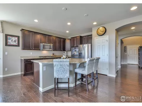 6737 Spring Rain Rd, Timnath, CO 80547 photo 9