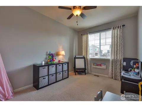 6737 Spring Rain Rd, Timnath, CO 80547 photo 16