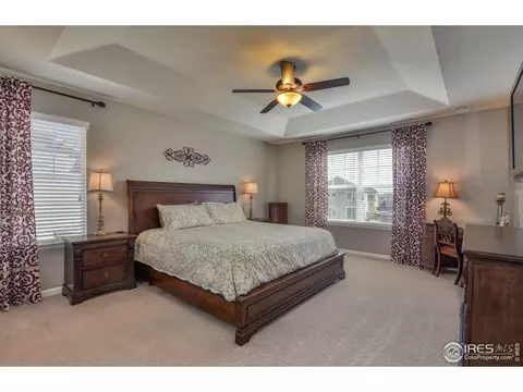 6737 Spring Rain Rd, Timnath, CO 80547 photo 22