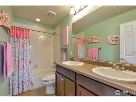 6737 Spring Rain Rd, Timnath, CO 80547 photo 29