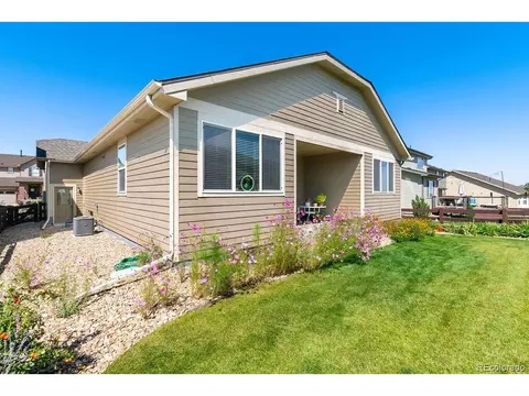2143 Longfin Dr, Windsor, CO 80550 photo 20