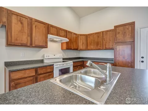 2128 Crop Row Dr, Windsor, CO 80550 photo 6