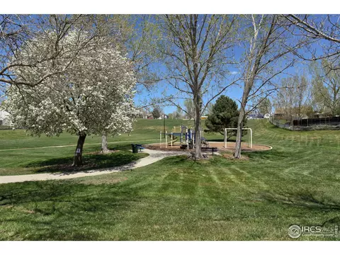 2983 E 96th Pl, Thornton, CO 80229 photo 13