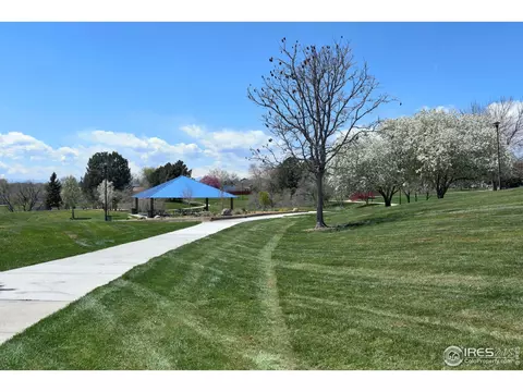 2983 E 96th Pl, Thornton, CO 80229 photo 16