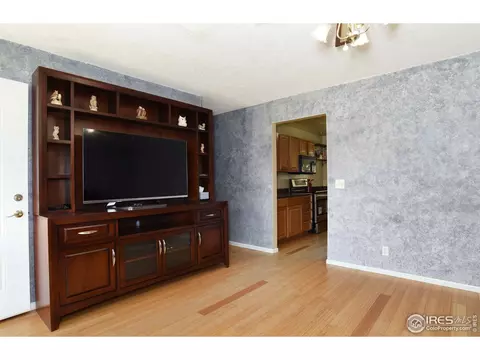 2983 E 96th Pl, Thornton, CO 80229 photo 3