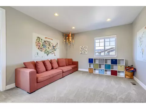 8421 E 54th Dr, Denver, CO 80238 photo 19