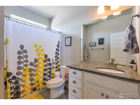 4547 Ingalls Dr, Wellington, CO 80549 photo 24