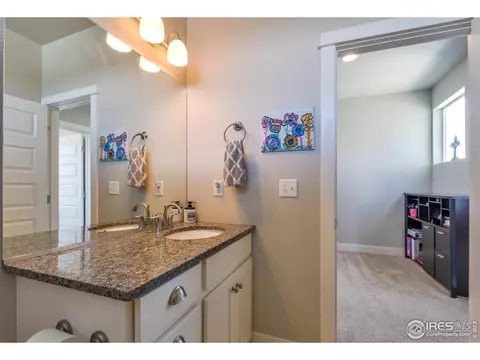 4547 Ingalls Dr, Wellington, CO 80549 photo 23