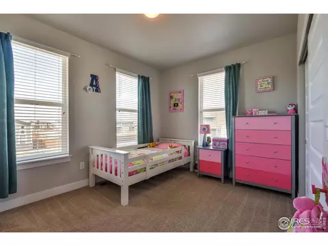4547 Ingalls Dr, Wellington, CO 80549 photo 21