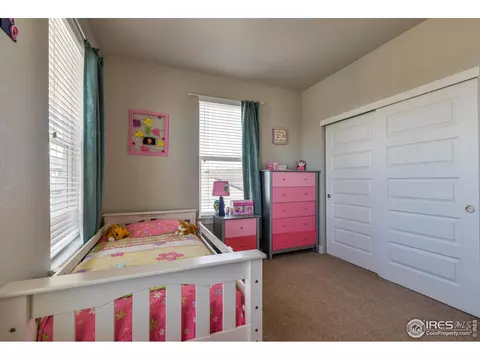 4547 Ingalls Dr, Wellington, CO 80549 photo 22