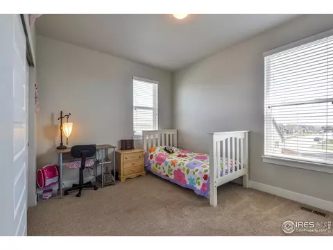 4547 Ingalls Dr, Wellington, CO 80549 photo 25