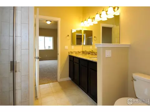 865 Sunlight Peak Dr, Windsor, CO 80550 photo 19