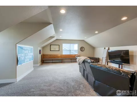 1127 Crescent Dr, Windsor, CO 80550 photo 20