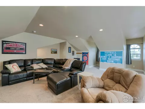 1127 Crescent Dr, Windsor, CO 80550 photo 22