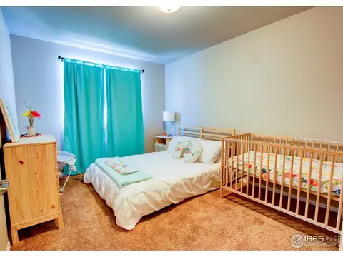 2180 Grain Bin Ct, Windsor, CO 80550 photo 21