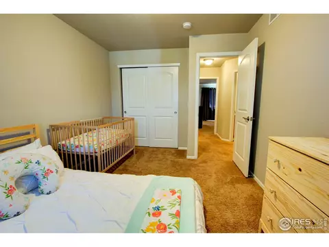 2180 Grain Bin Ct, Windsor, CO 80550 photo 22