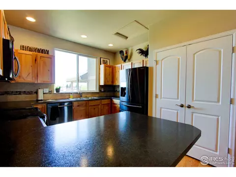 2180 Grain Bin Ct, Windsor, CO 80550 photo 11