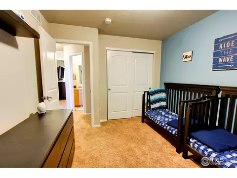 2180 Grain Bin Ct, Windsor, CO 80550 photo 20