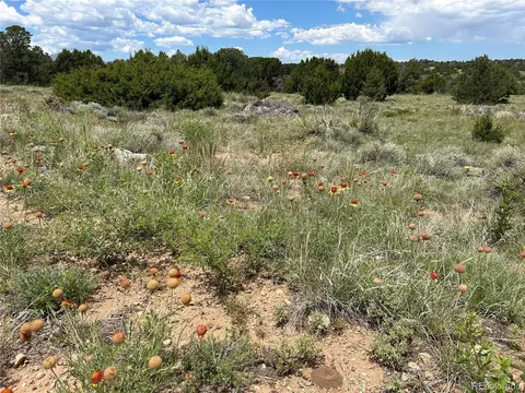 809 Rio Cucharas Phs 3, Walsenburg, CO 81089 photo 9