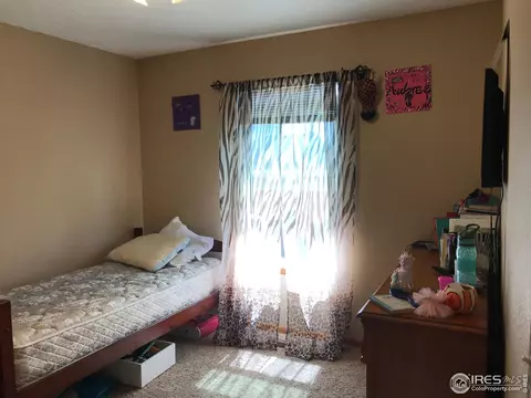 619 Cornerstone Dr, Windsor, CO 80550 photo 19