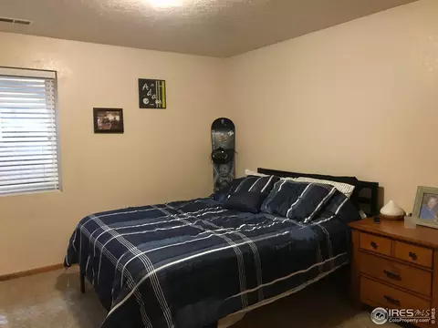 619 Cornerstone Dr, Windsor, CO 80550 photo 24