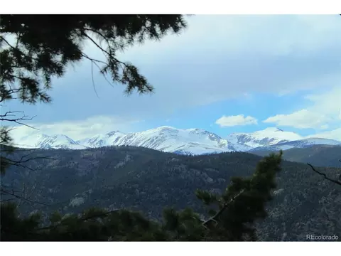 1111 Ohio Gulch Trl, Dumont, CO 80436