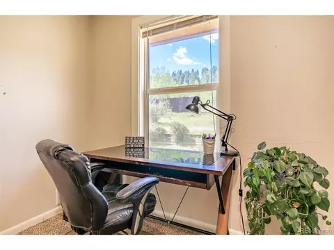 999 Mockingbird Trl, Bailey, CO 80421 photo 13