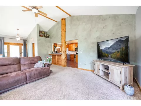 999 Mockingbird Trl, Bailey, CO 80421 photo 3