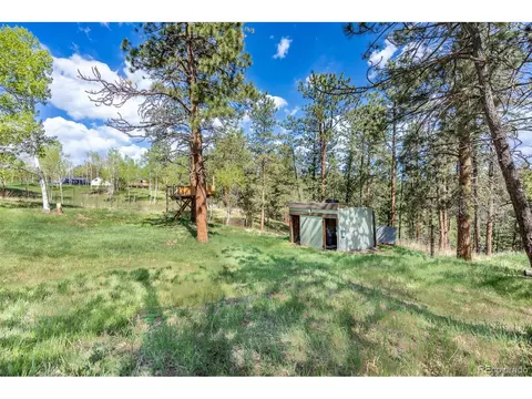 999 Mockingbird Trl, Bailey, CO 80421 photo 18