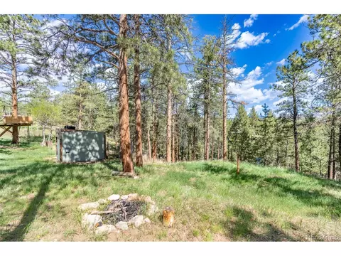 999 Mockingbird Trl, Bailey, CO 80421 photo 17