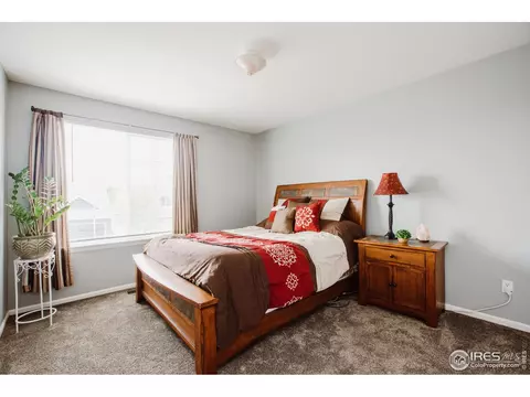 100 Whitney Ct, Windsor, CO 80550 photo 24
