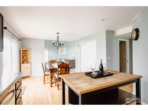 100 Whitney Ct, Windsor, CO 80550 photo 10