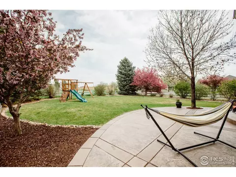 100 Whitney Ct, Windsor, CO 80550 photo 33