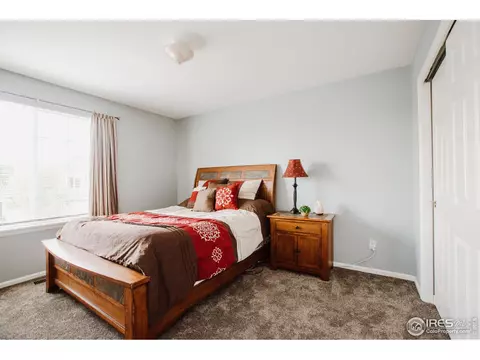 100 Whitney Ct, Windsor, CO 80550 photo 23