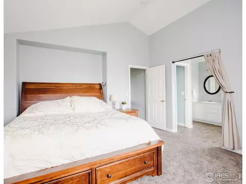 100 Whitney Ct, Windsor, CO 80550 photo 18