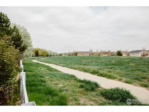 100 Whitney Ct, Windsor, CO 80550 photo 40