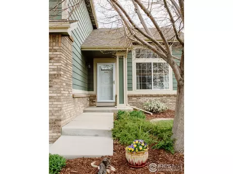 100 Whitney Ct, Windsor, CO 80550 photo 2